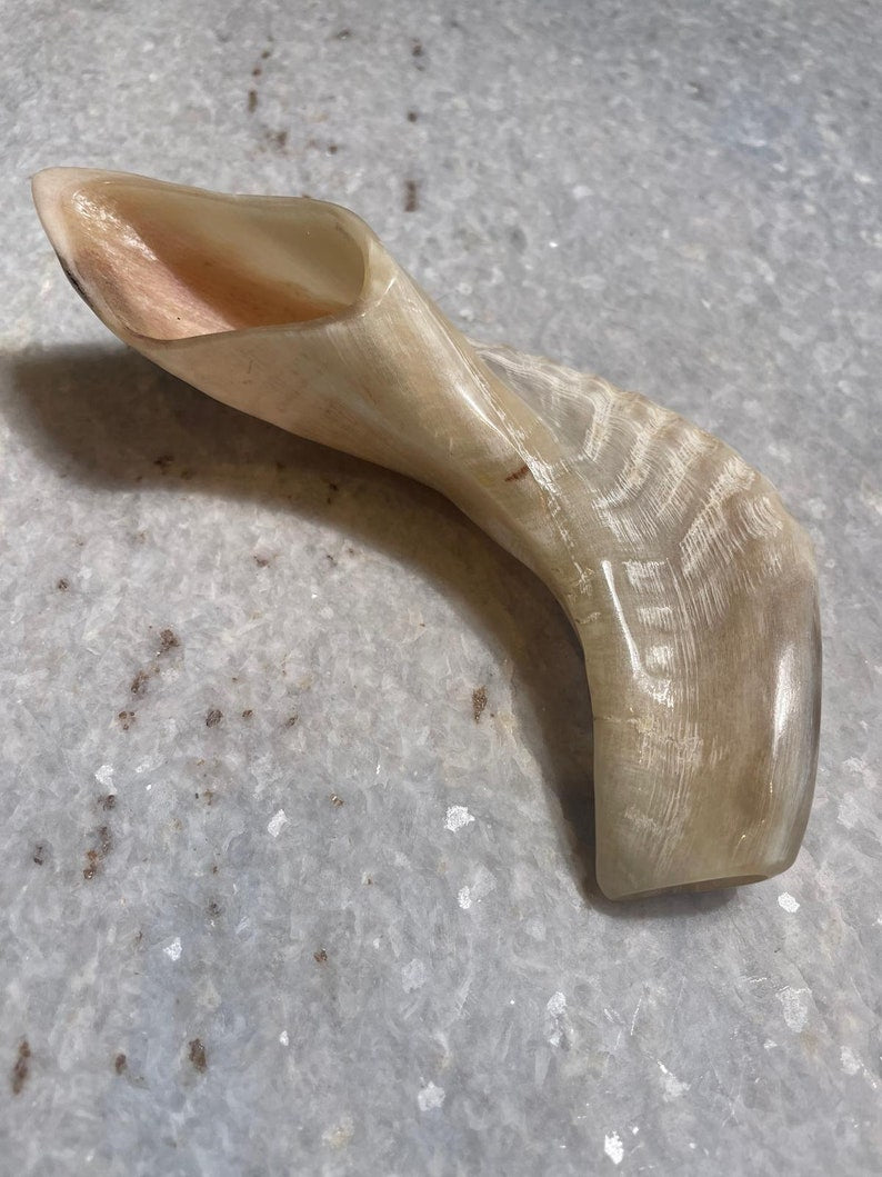 Yom Kippur Kosher Polish shofar, Genuine Shofar Horn, Ram Horn, Judaica from Israel, christian gift, Jewish gift, kosher ram horn, shofar