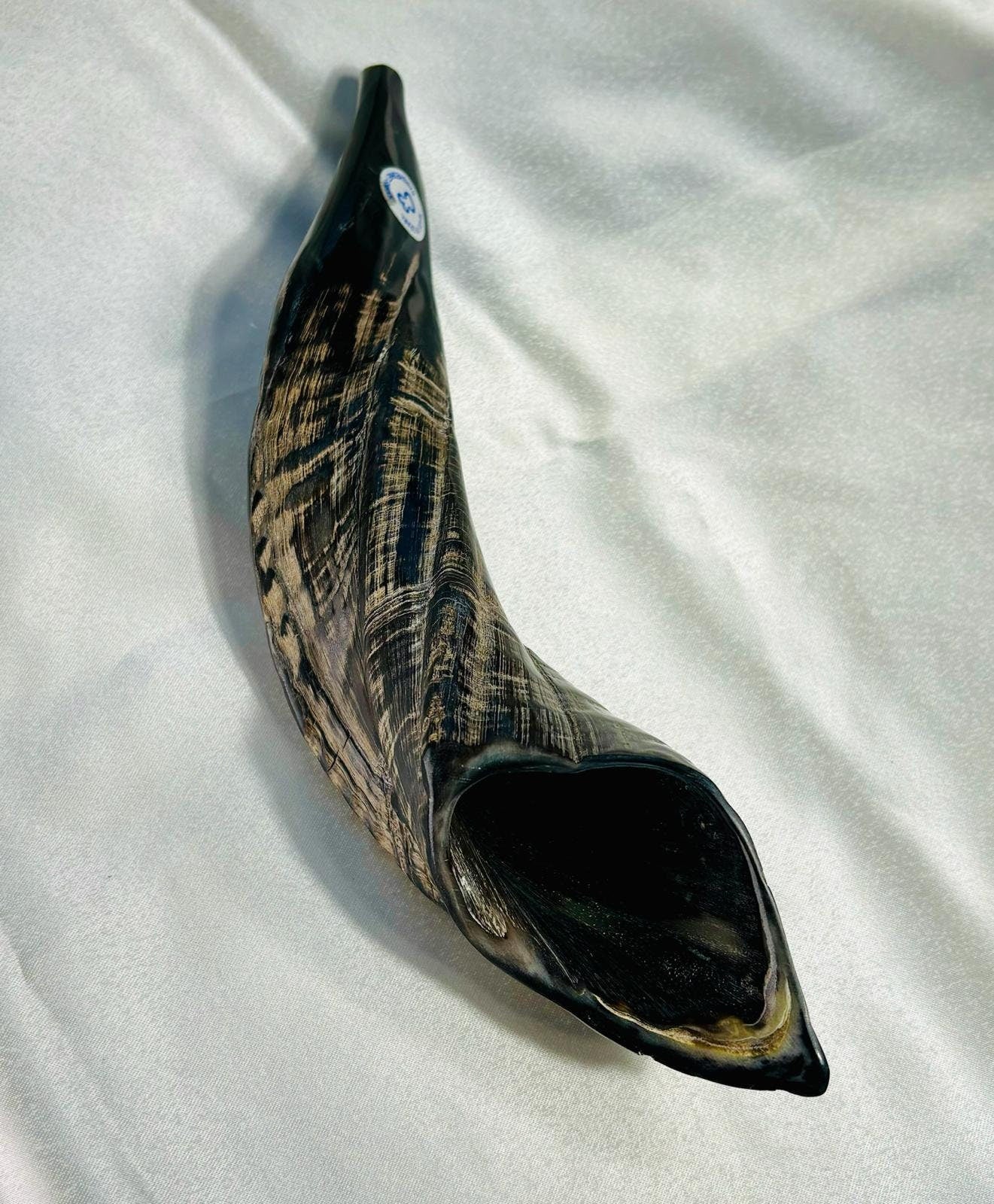 Yom Kippur Kosher shofar, Polish Genuine Shofar Horn, Ram Shofar Horn, Judaica from Israel, christian gift, Jewish gift, made in israel