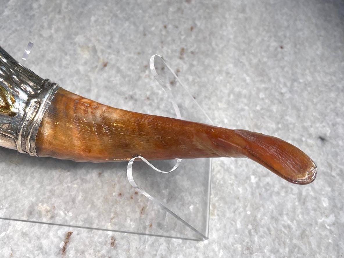 Silver Plated Rams Horn Shofar for Anointing Oil, Kosher Polish Shofar, Genuine Shofar Horn, Ram Shofar Horn, Anointing Oil, christian gift